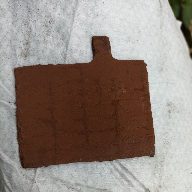 SEL POSITIF AKI MOTOR  baru