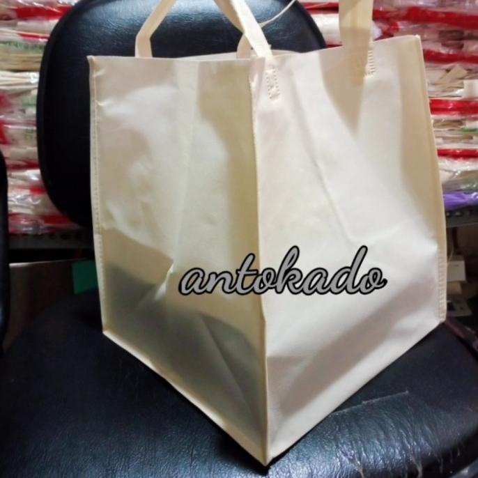 

[COD] tas kotak nasi/kue 22x22 [COD]