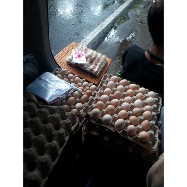 

Telur Ayam Kampung Ternak Asli Ternak Sendiri Isi 30 butir