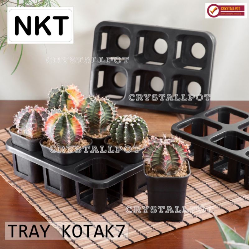 1 set Tray + POT BUNGA NKT KOTAK 7 CM HITAM | tray semai bibit