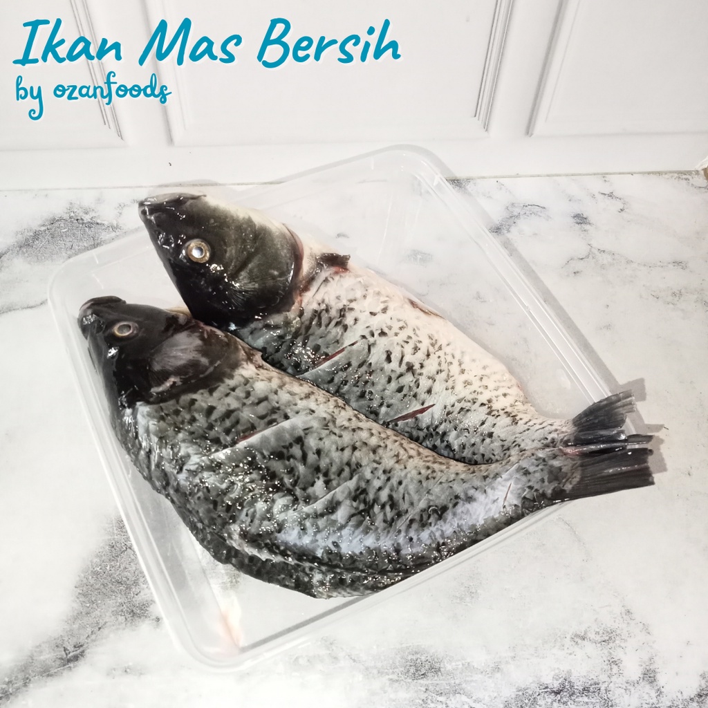 

Ikan Mas 1 kg