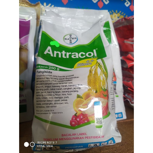 ANTRACOL FUNGISIDA 100%ORIGINAL 250gram