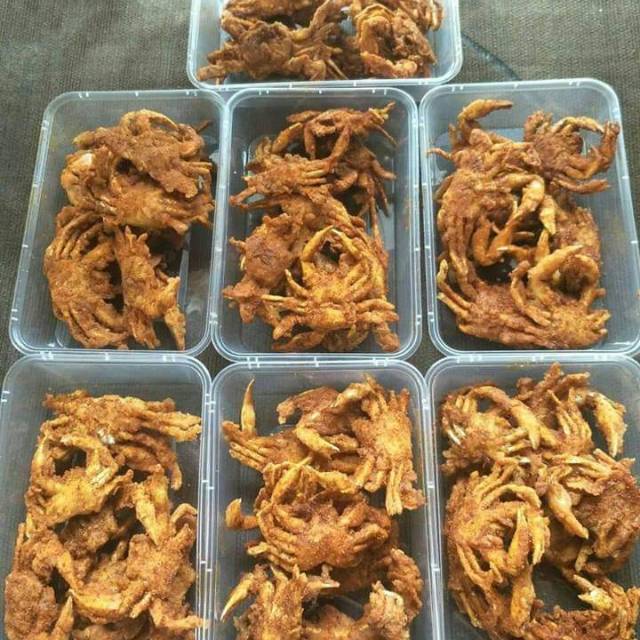 

Baby crab full real pict yak