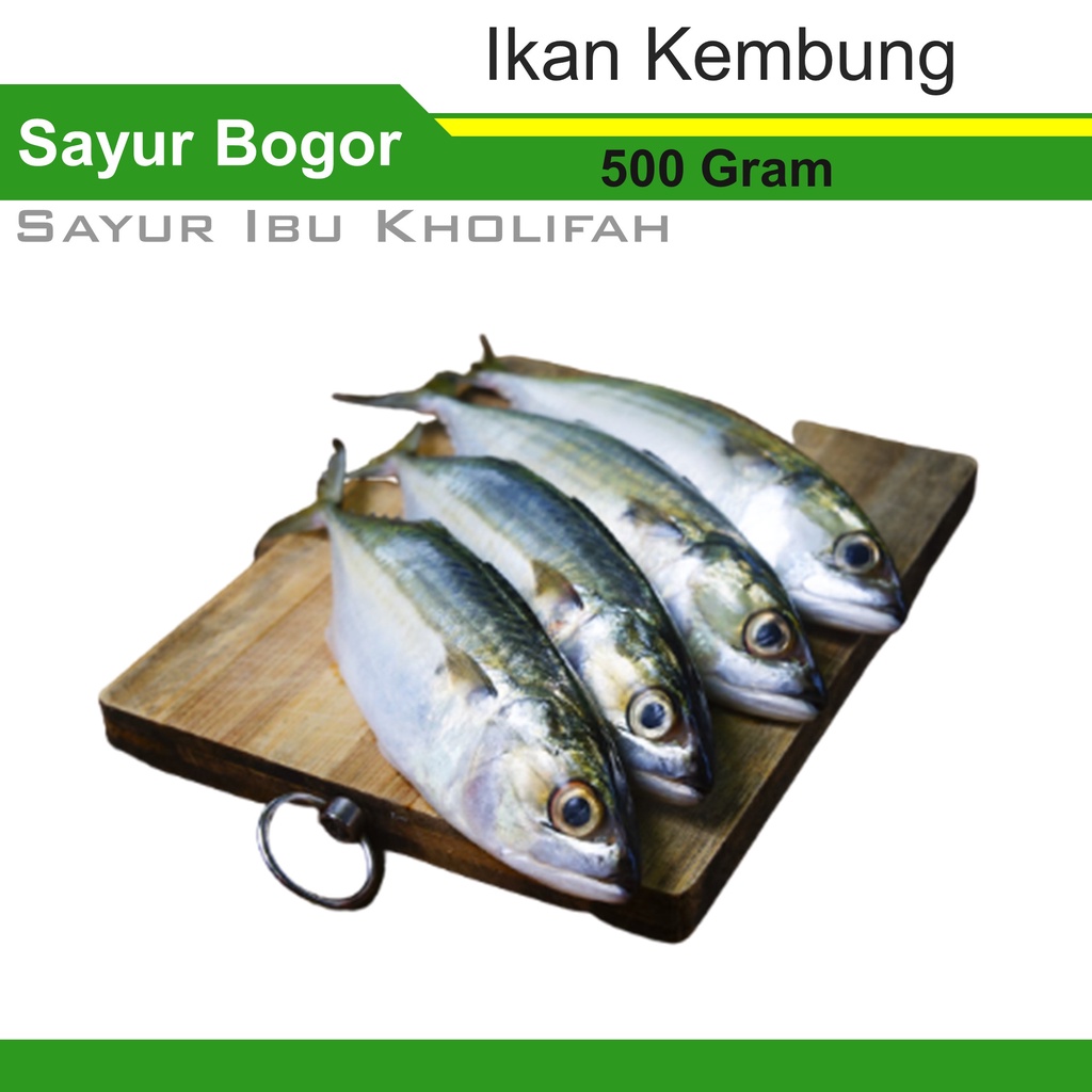 

Ikan Kembung Banjar 500 Gram Hasil laut Ikan Segar Bogor