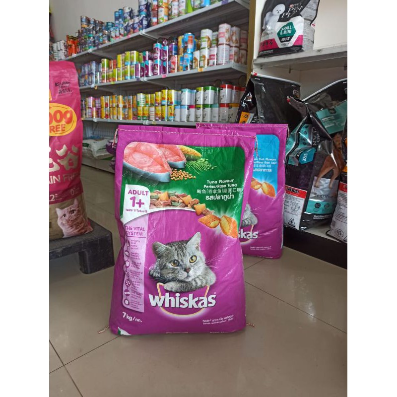 Whiskas Adult Tuna 1+ 7kg (Ekspedisi) akanan kucing adult dryfood tuna dewasa