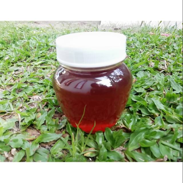 

Madu Samuroh sumroh kualitas no 1
