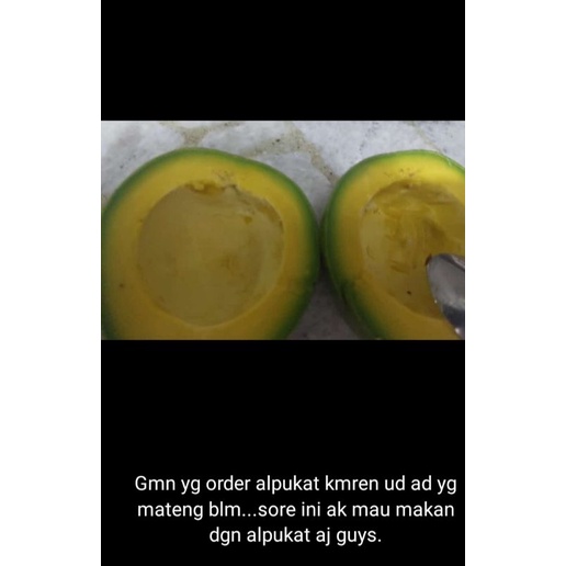 

alpukatBangka