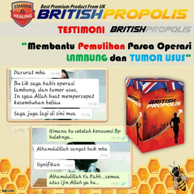 Bee Pro British Propolis Shopee Indonesia