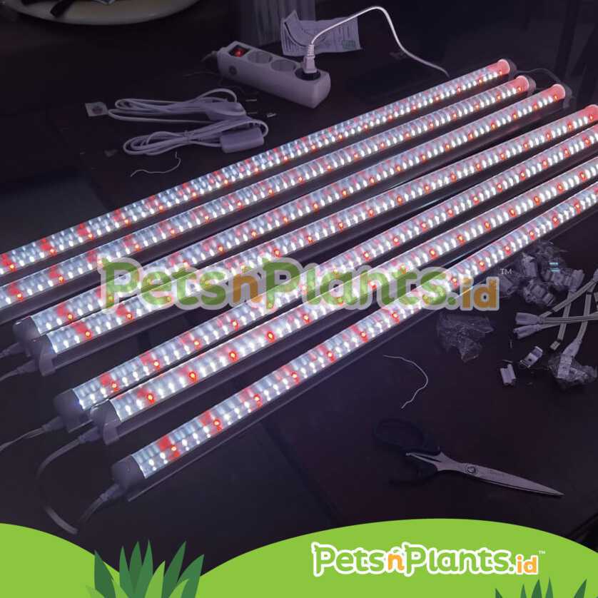 LED T8 Grow Light Lampu Tanaman Hidroponik Full Spectrum Import Ukuran 60 CM