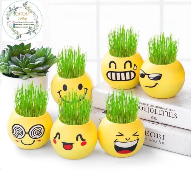 Pot Rumput Lucu Mini Motif Emoticon Emoji + BOX Untuk Dekorasi Rumah/Tanaman Hias