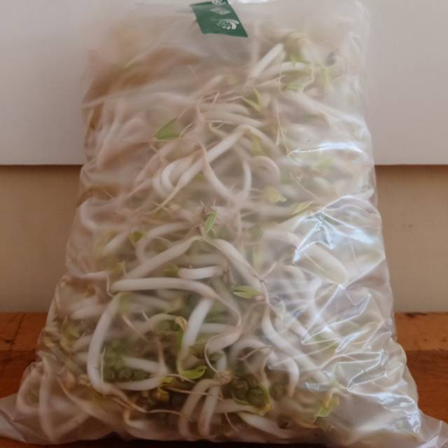

Toge - Tauge 500 gram