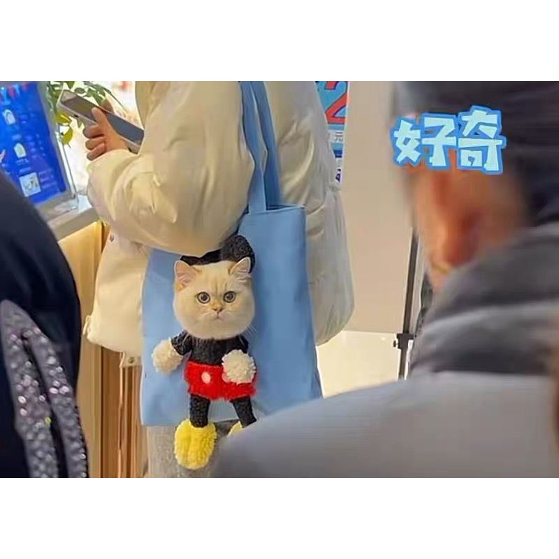 PH.MEDAN Tas ToteBag Kain Unik VIRAL untuk kucing / anjing.