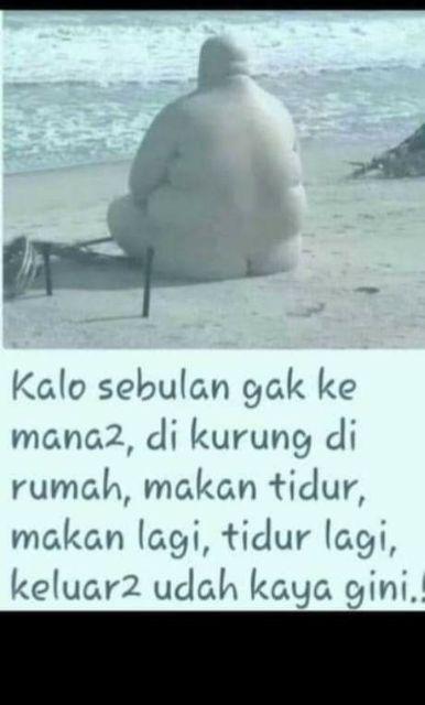 Lunch Box Bahan Hi Pp/kotak Makan Sekali Pakai