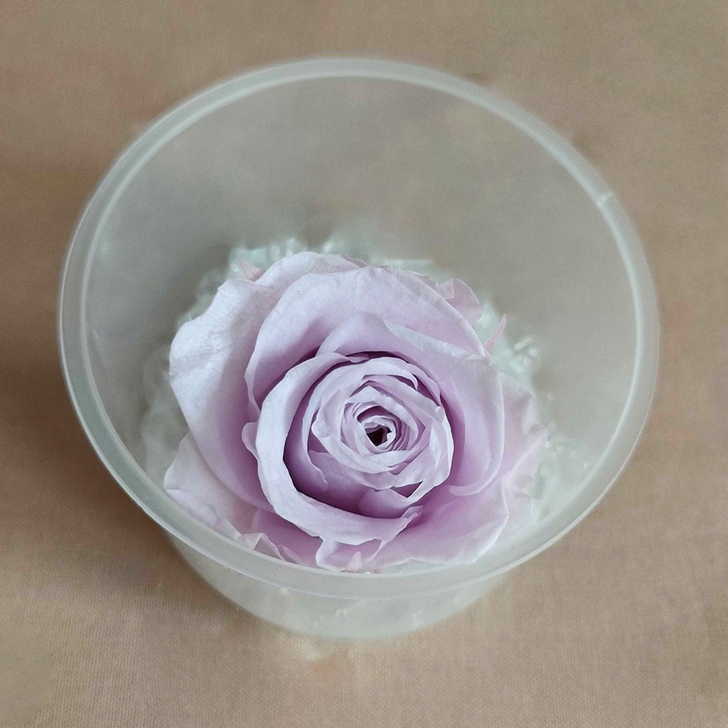 Artificial Flower Preserved Rose  Bunga Kering  Dekorasi Hias Pajangan