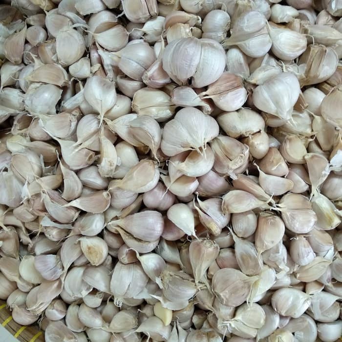 

v01vss Bawang Putih Kating Bersih 500Gram Fsfs201