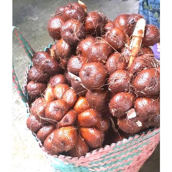 

Salak pondoh Madu Manis Asli Banjarnegara