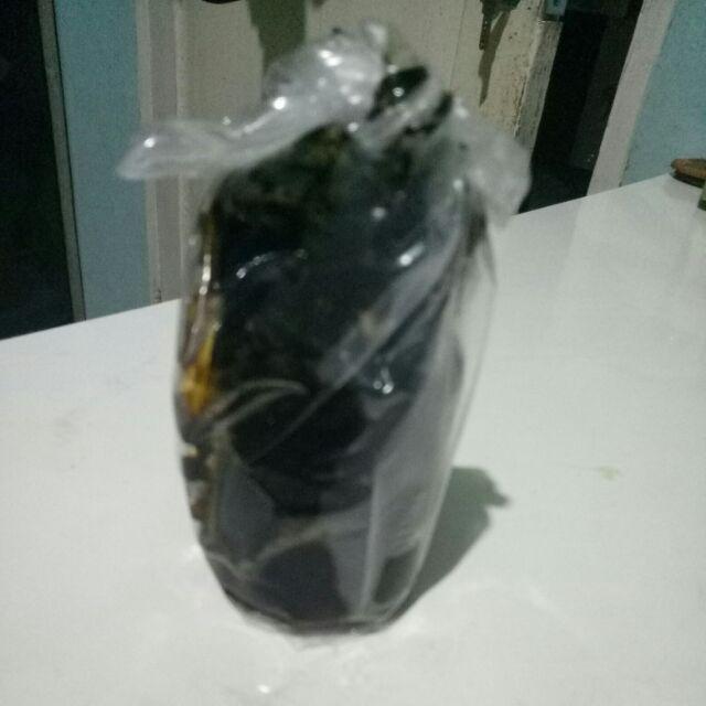 Pasta Coffe/kopi Kh Repack 50ml