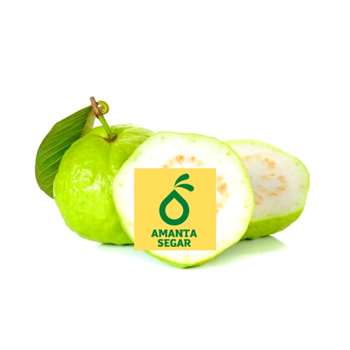 

Buah Jambu Kristal Sunpride Fresh Segar Tanpa Biji 1 Kg