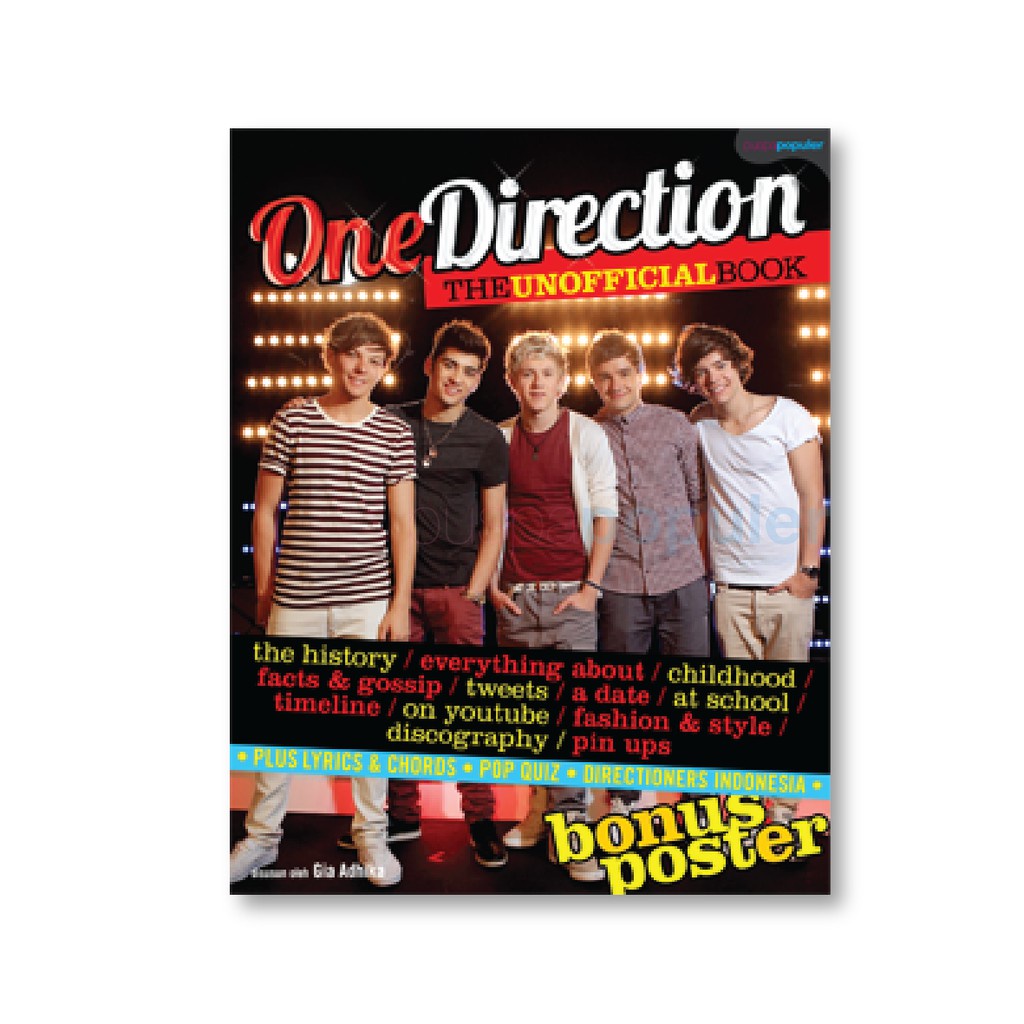 One Direction-The Unofficial Book