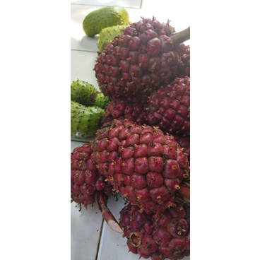 

honje laka murah/fresh/kualitas terbaik 1kg