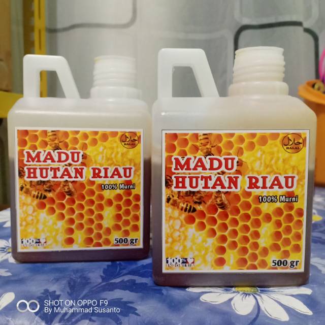 

Madu Hutan Riau Murni 500gr