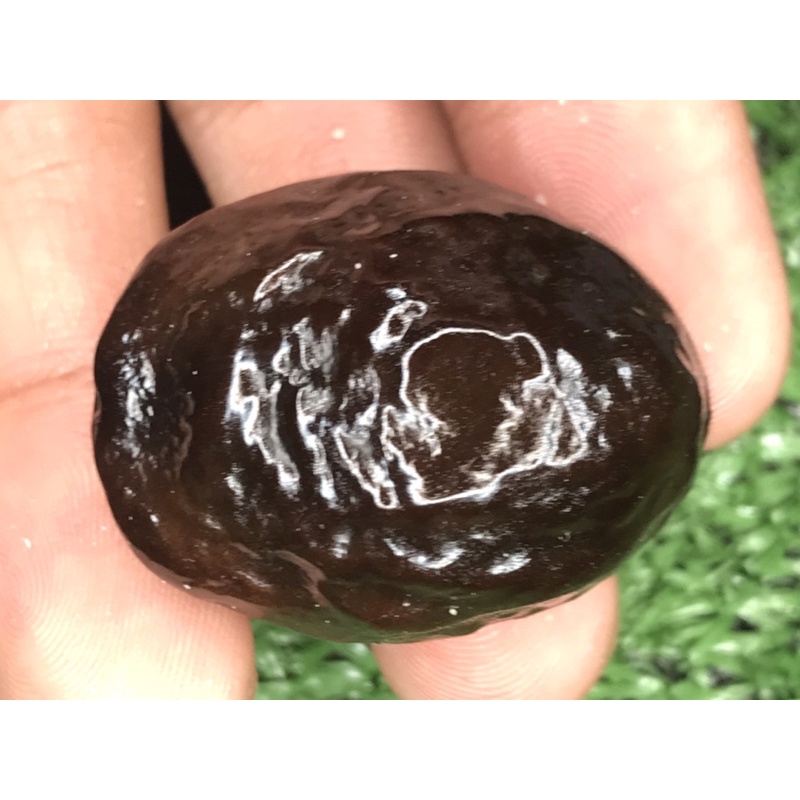 Muncang adu Jayanti putri ori siap adu