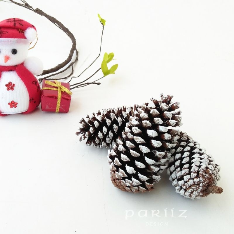 PARIIZ 6pcs BIJI PINUS PUTIH KUNCUP 7-10CM PROPERTI FOTO Natal