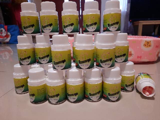 My Body Herbal Shopee Indonesia