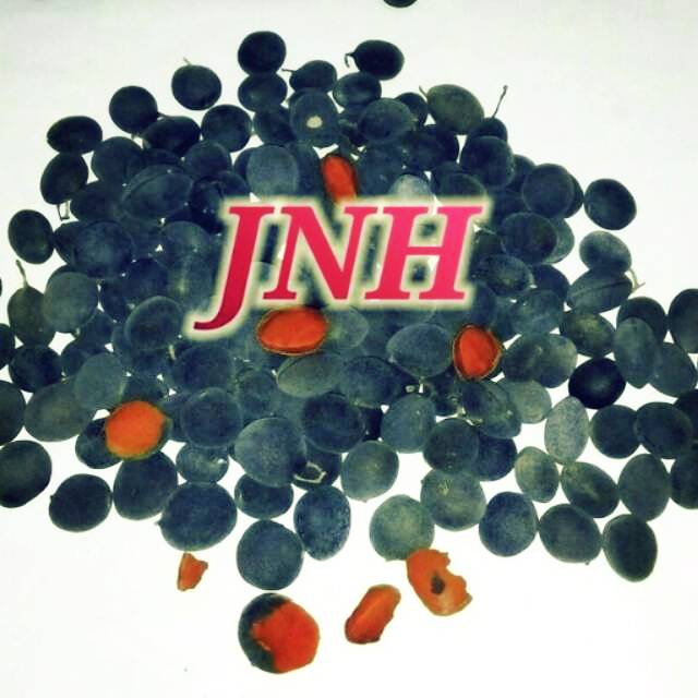 

Buah asem kranji 500 gram