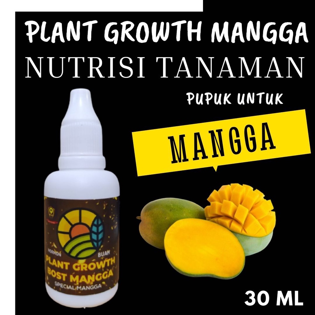 Pupuk Pohon Alami Mangga Berbuah Besar, Pupuk Plant Growth Mangga