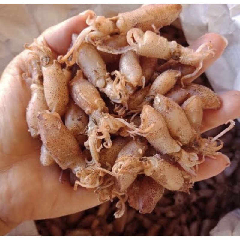 

ikan asin baby cumi