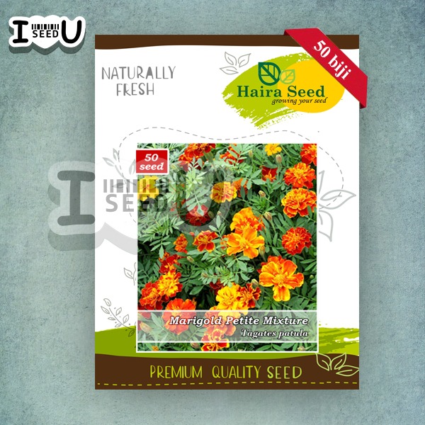 Haira Seed Bibit-Biji Bunga Marigold Petite Mix