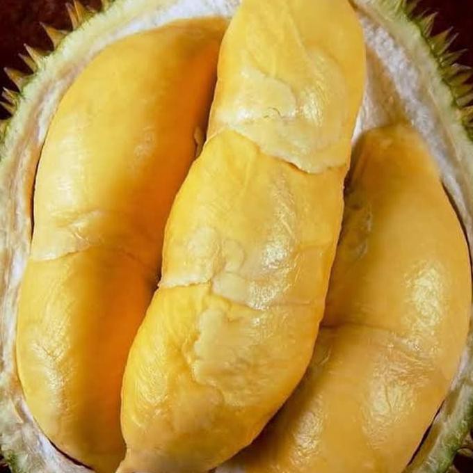 Unduh 92 Gambar Durian Bawor Kaki Tiga Paling Bagus Gratis HD