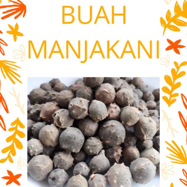 

BUAH MANJAKANI