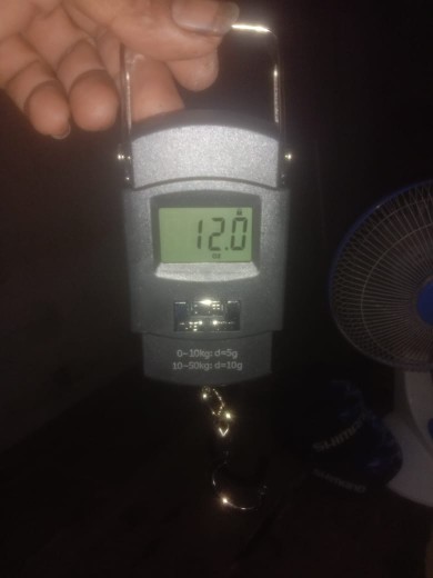 Timbangan Digital Maks 50 Kg