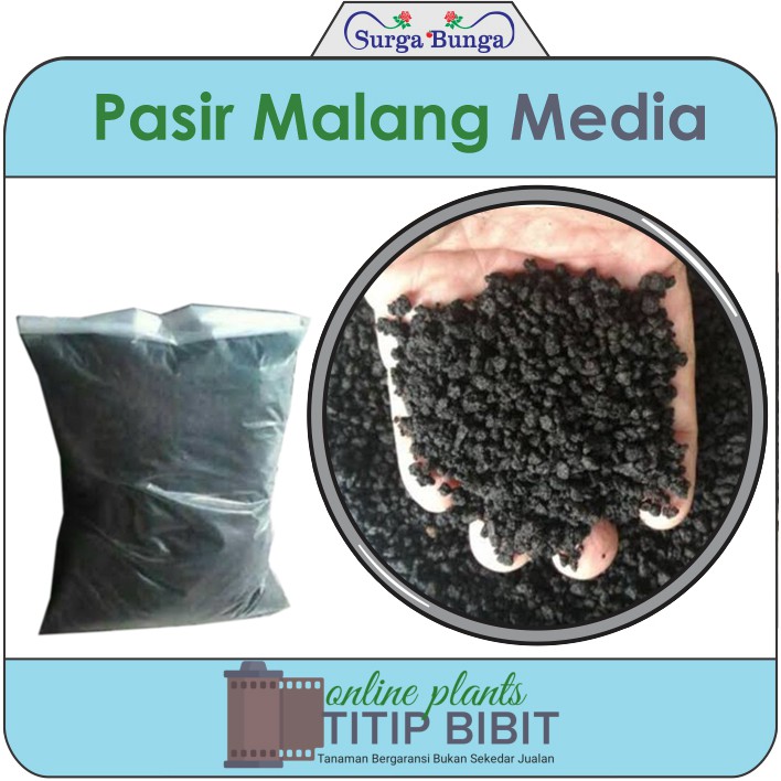 pasir kasar malang 1000gr media tanam