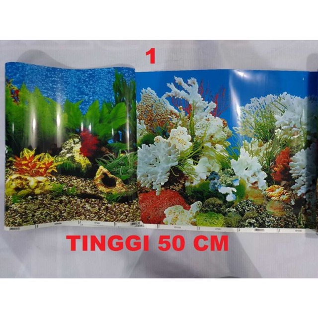 (PEMBELIAN PER 10 cm)Background / Latar belakang Aquarium Tinggi 50cm panjang per 10cm