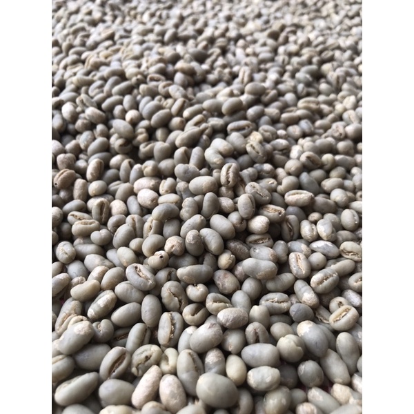 

Biji kopi Arabika Gayo Peaberry