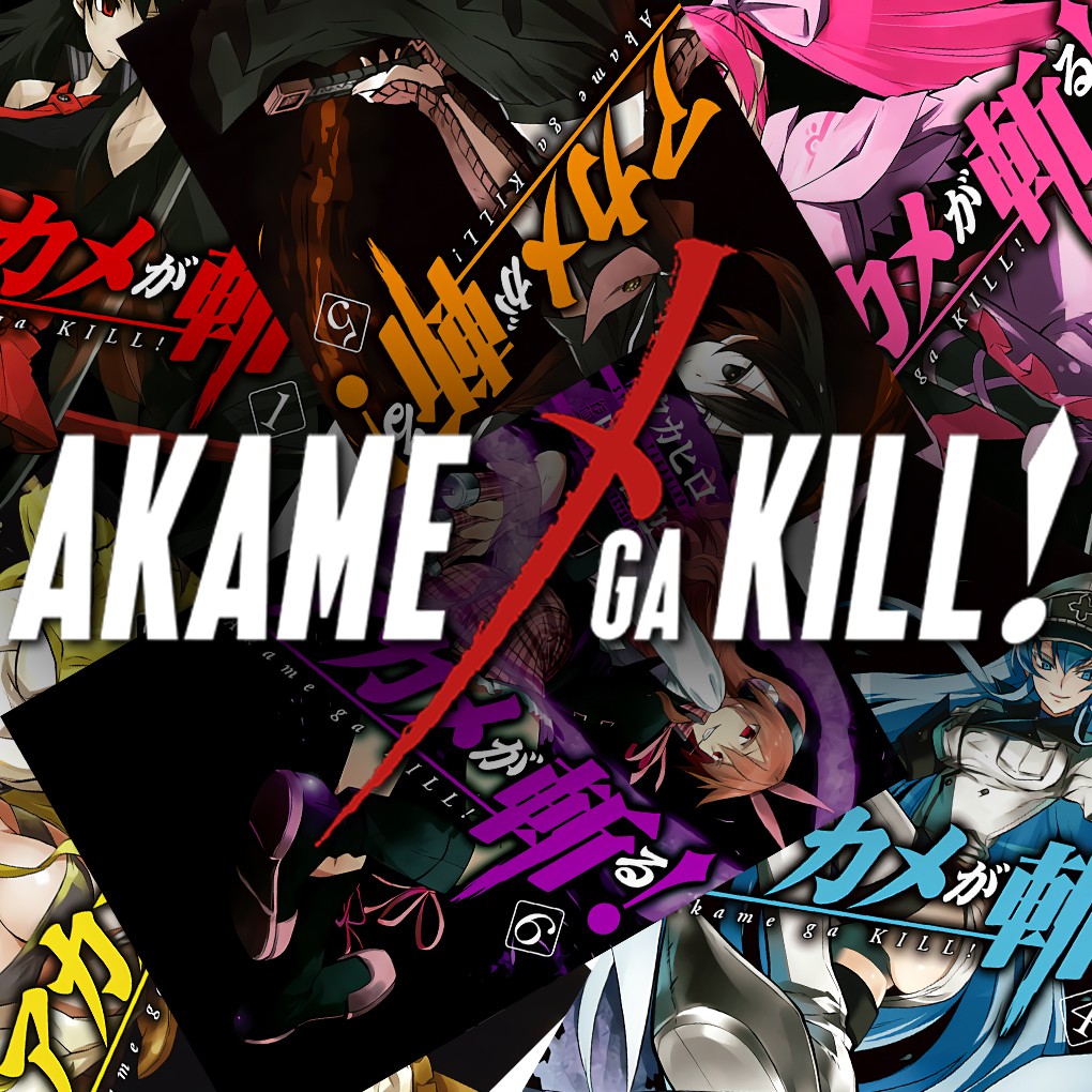 

Poster Anime Akame Ga Kill Komik - Size A4+ A3+