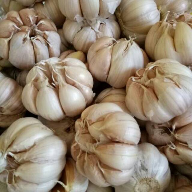 Bawang Putih Biasa Sudah Bersih Kualitas Super 1 kg