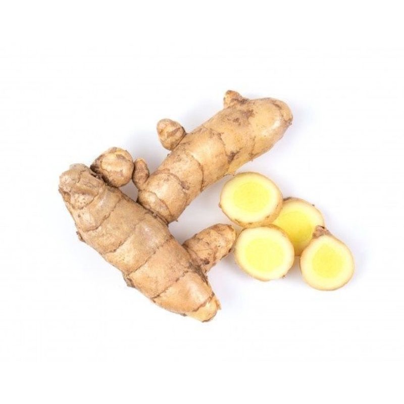 

Promo Kunyit putih fresh 1kg ( curcuma zedoria )