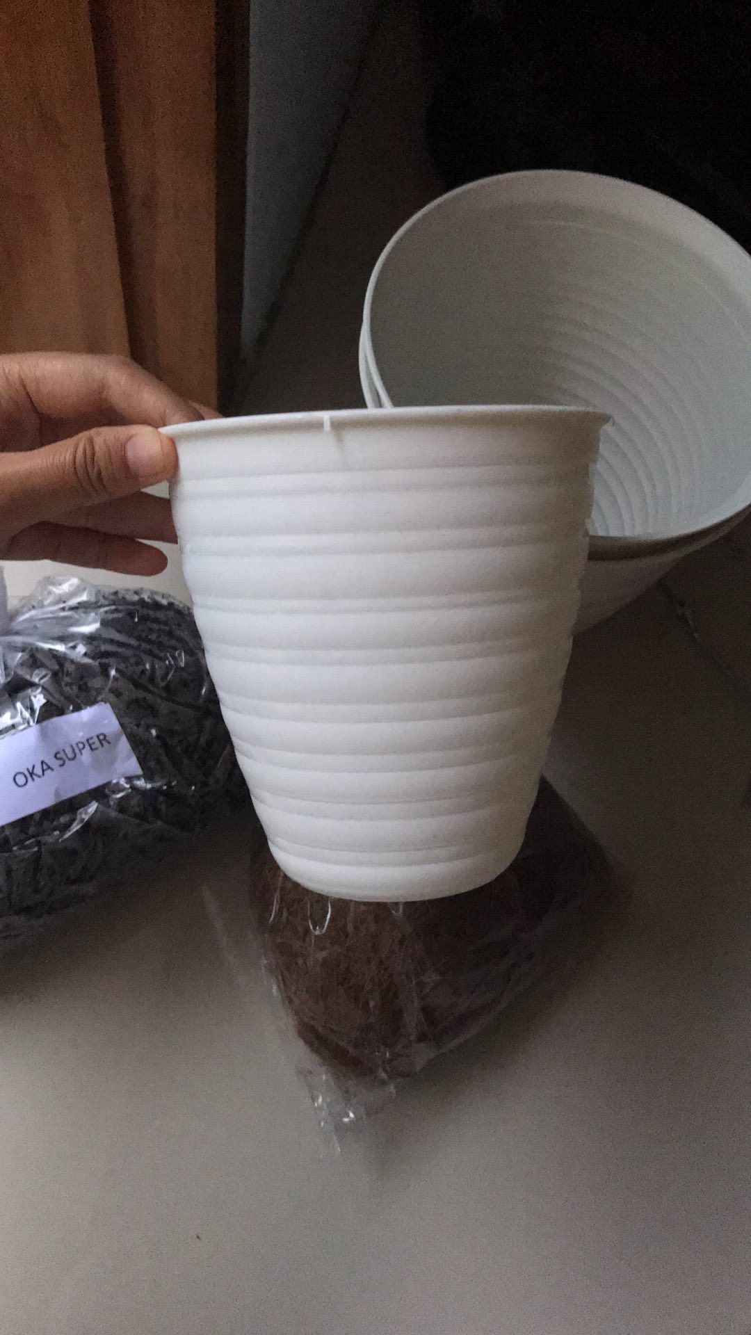 Pot Bunga Tanaman Pirus Madu Tinggi 12 Putih