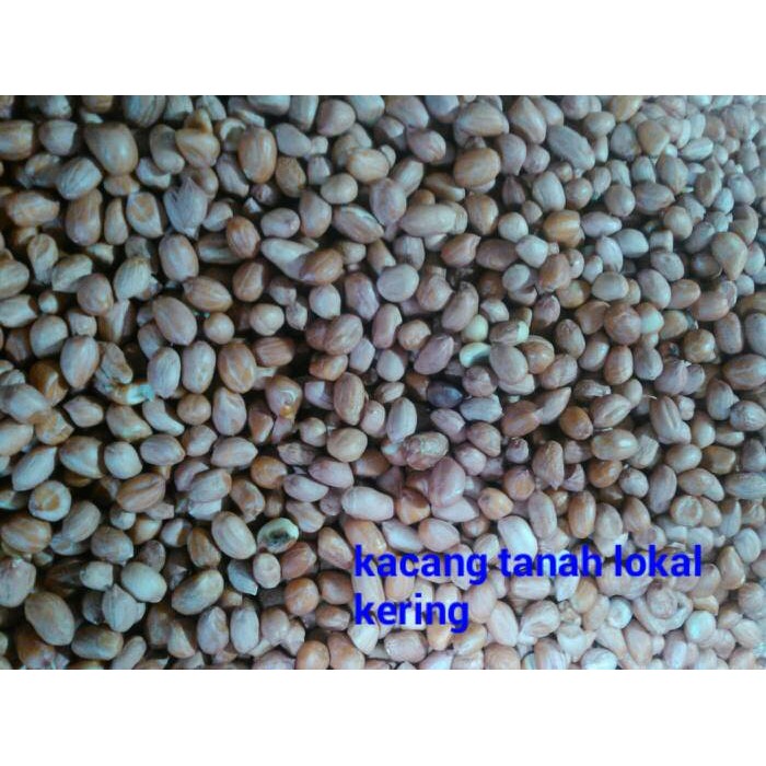 

kacang tanah / kacang brol 500gram