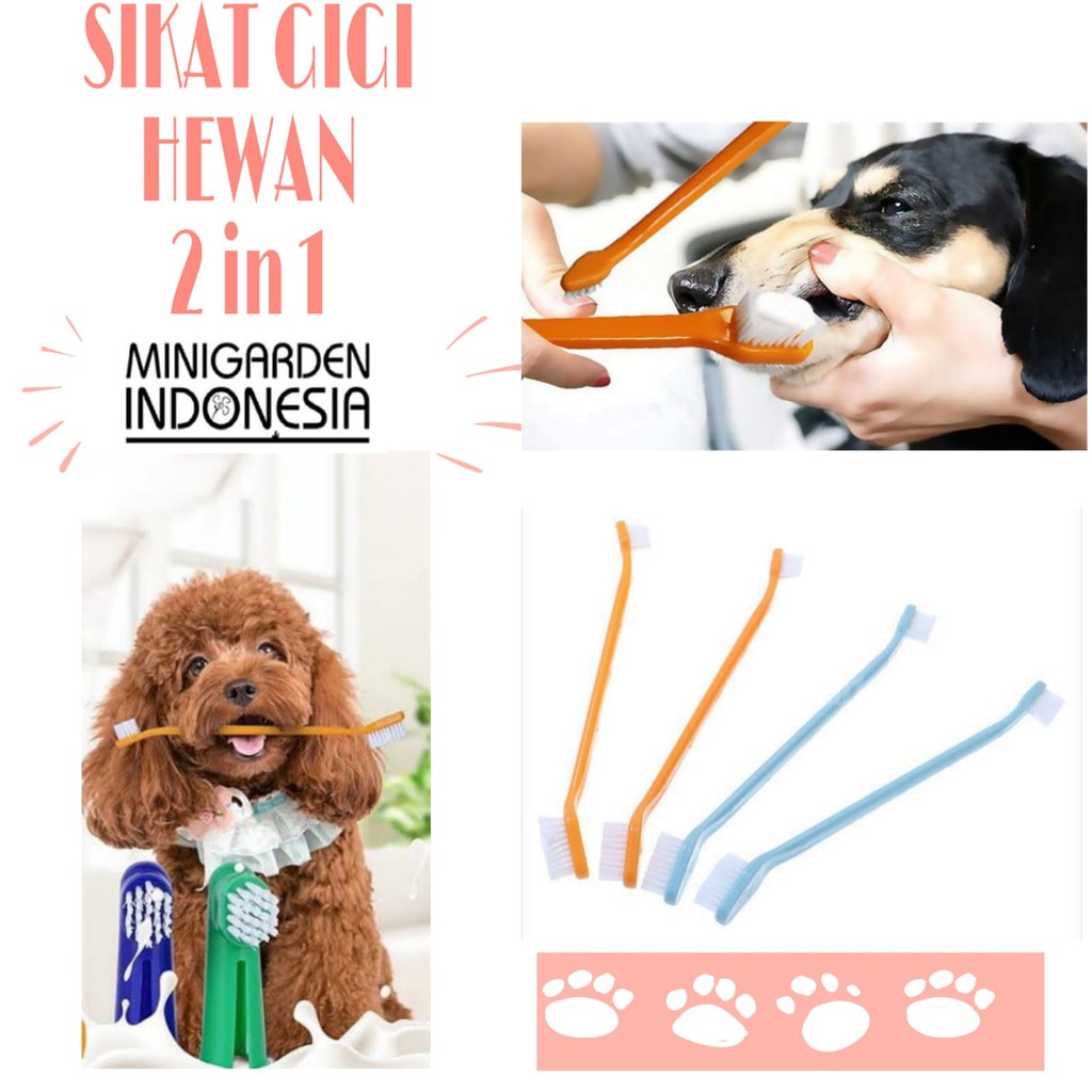 PET TOOTHBRUSH 2 IN 1 sikat gigi hewan anjing kucing musang bulu halus 2 sikat dalam 1 gagang