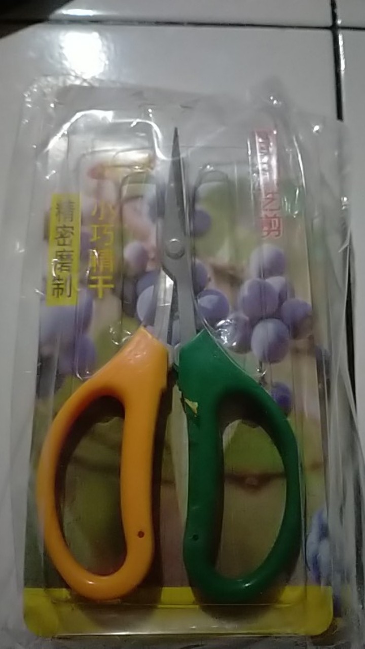 Gunting Bonsai Pruning Daun Akar 2 Warna Murah