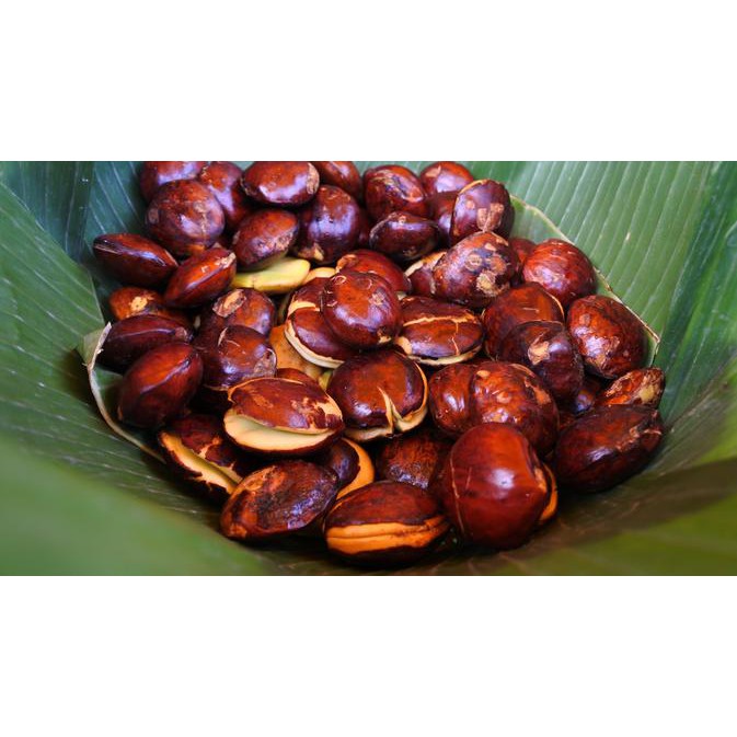 

Jengkol 500 gr / Gerobak Sayur Bandung