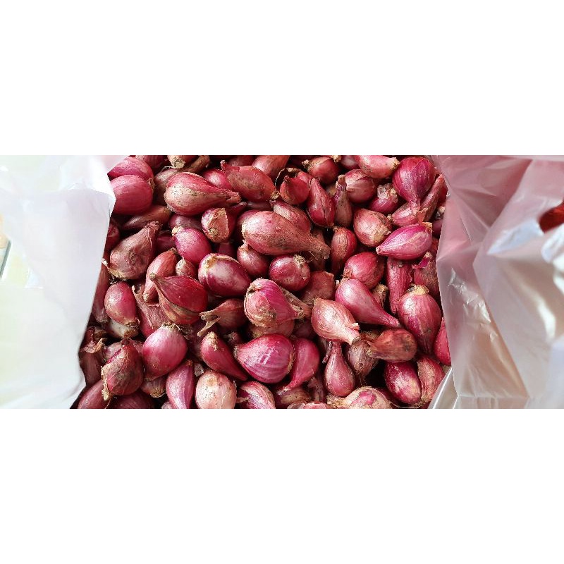 

Bawang merah
