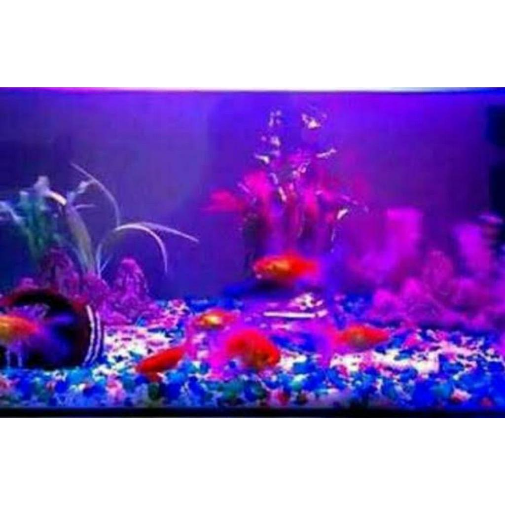 PROMO Lampu Aquarium 50cm WARNA MERAH ( PINK ) / Lampu celup / Lampu led aquarium / Lampu akuarium / Dekorasi akuarium / model t4