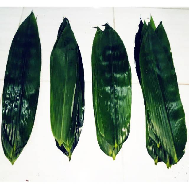 

Daun bambu segar 10 lembar Rp 2.000