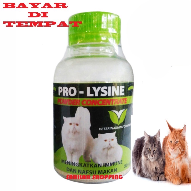 VITAMIN KUCING ANJING KELINCI PRO LYSINE OBAT PENAMBAH NAFSU MAKAN MENINGKATKAN ANTI BODY AMPUH TERMURAH